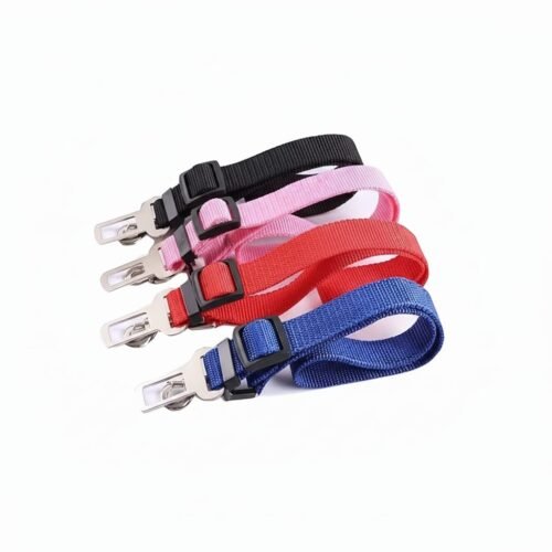 Ceinture de Sécurité