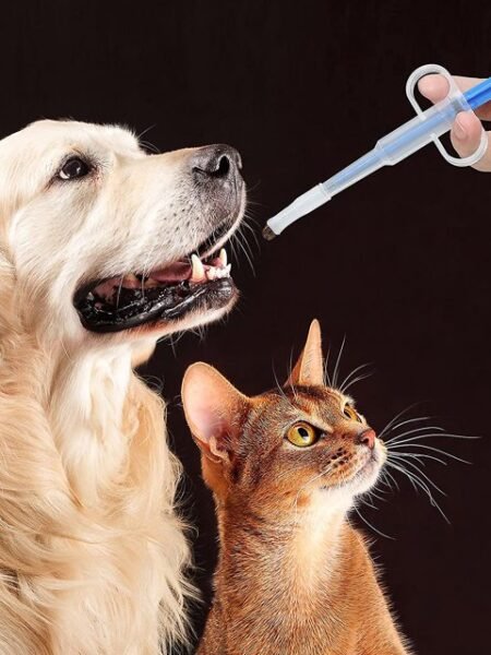 Distributeur de Médicament Pour Chats Et Chiens
