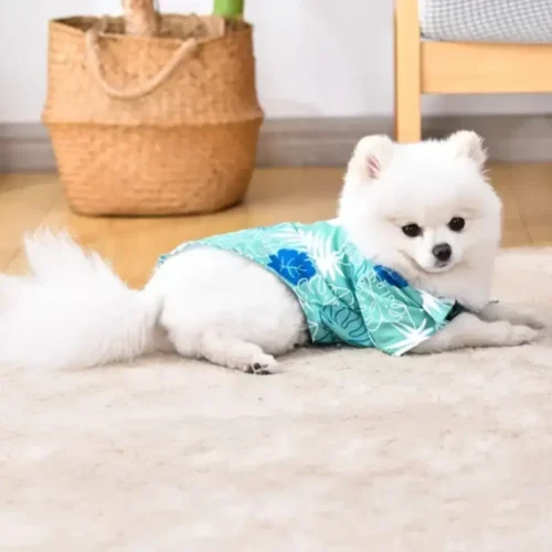Chemise pour Chien et Chat
