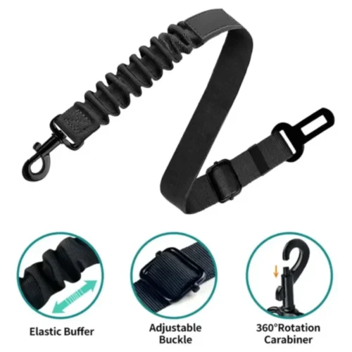 Ceinture de Sécurité