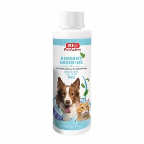 Bio PetActive Biodent Hexidine Soins Buccaux