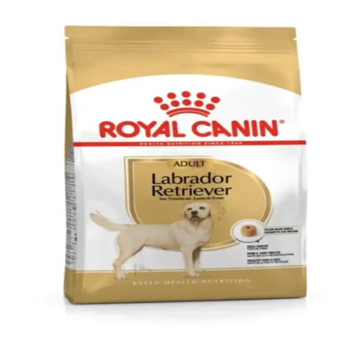 ROYAL CANIN LABRADOR RETRIEVER Chien