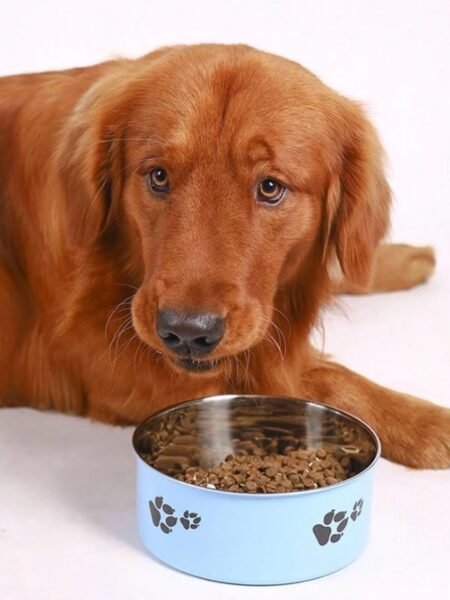 Gamelle En Acier Inoxydable Pour Chats Et Chiens | 18cm