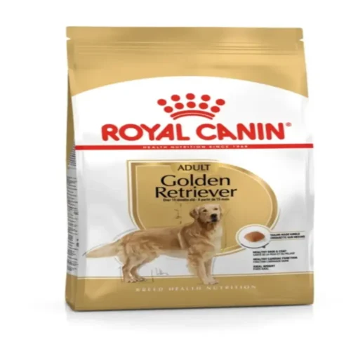 ROYAL CANIN GOLDEN RETRIEVER Chien