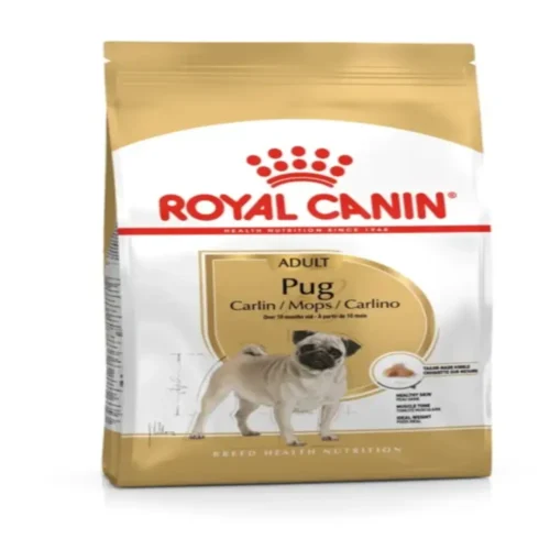 ROYAL CANIN CARLIN (Pug) Chien