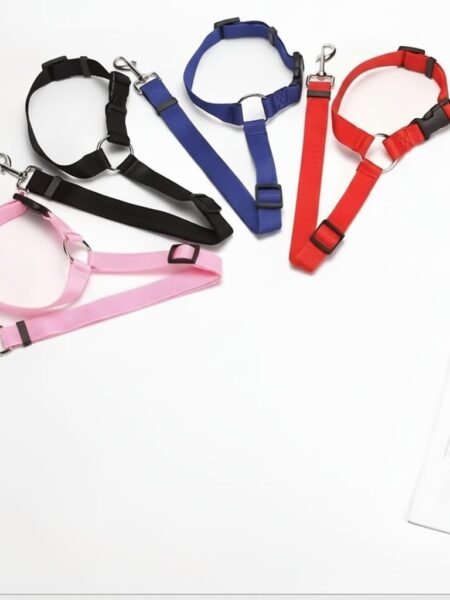 Ceinture de Sécurité Double Usage pour Animaux de Compagnie
