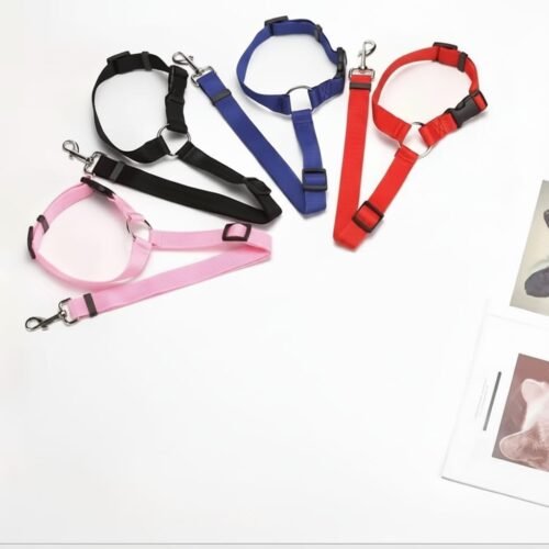 Laisse pour Animaux de Compagnie