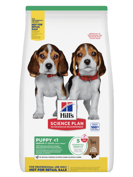 Hill’s Science Plan Croquettes Puppy (Moyenne Race) Pour Chiot 2.5Kg | 14Kg