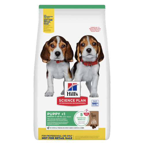 Hill's Science Plan Croquettes