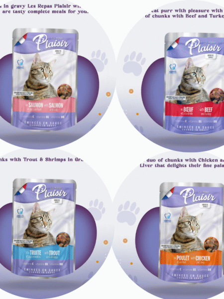 PLAISIR Emincés En Sauce Pour Chats 100g| Bœuf | Truite | Saumon | Poulet