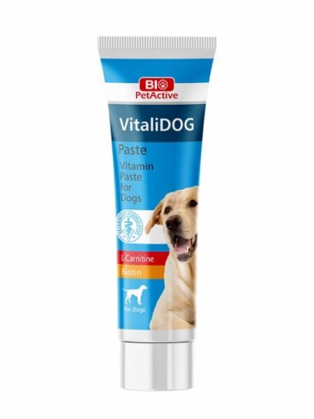 Bio PetActive Pâte Vitaminée Pour Chiens Adultes 100 ml