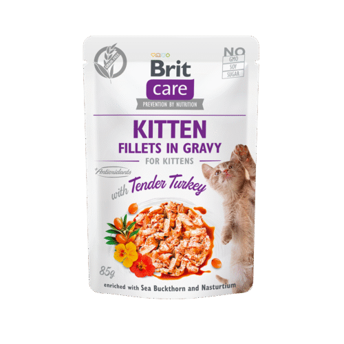 Brit Care Filets En Sauce Pour Chatons à La Dinde sans céréales 85g