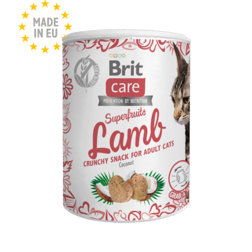 Brit Care Superfruits Lamb with Coconut Pour Chat Adulte
