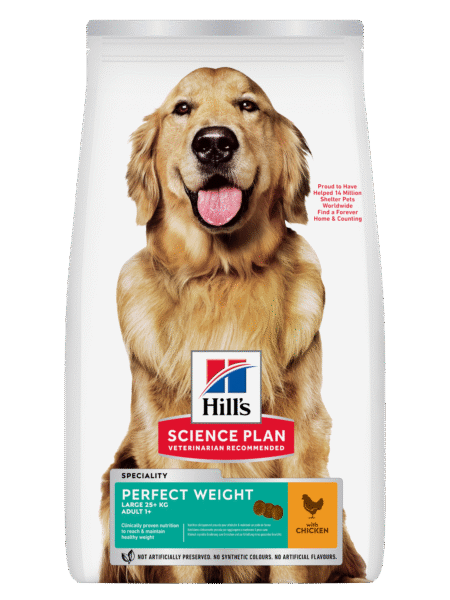 Hill’s Science Plan Croquettes Perfect Weight Pour Chien Adulte (Grande Race) Au Poulet 12Kg