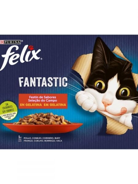 Felix Fantastic Festin en Gelée 12x85g