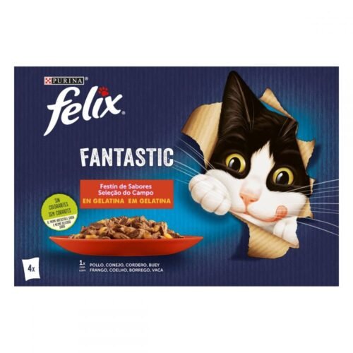 felix fantastic festin