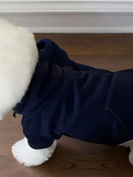 Sweat-Shirt à Capuche pour Animaux de Compagnie | Taille L