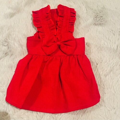 robe pour animaux de compagnie