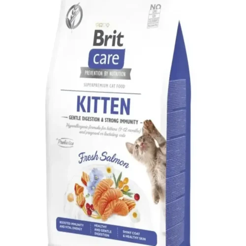 BRIT CARE KITTEN