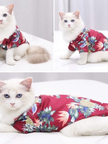 Chemise pour Petit Chien et Chat | Taille : M