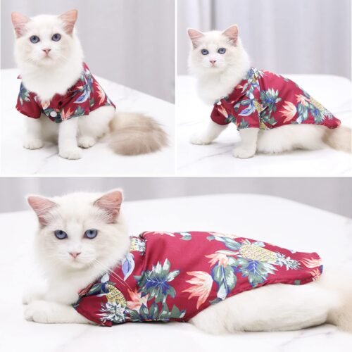 chemise tropical pour chat et chien
