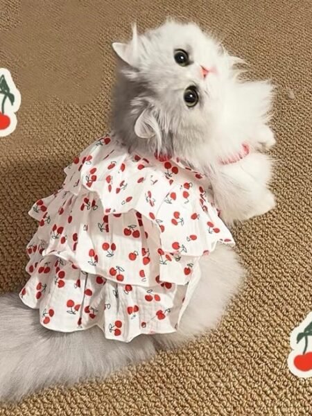Robe pour Animaux de Compagnie | Taille M , L