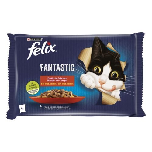 felix fantastic