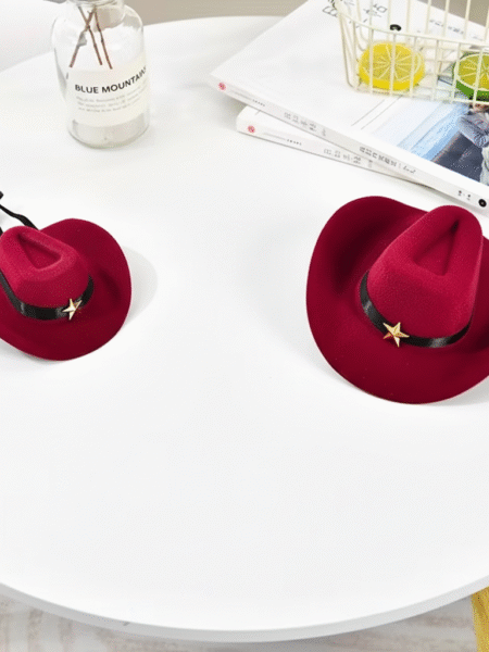 Chapeau pour Animaux de Compagnie