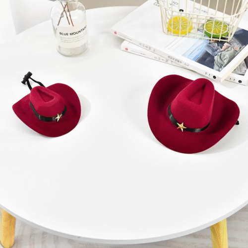 chapeau pour animaux de compagnie