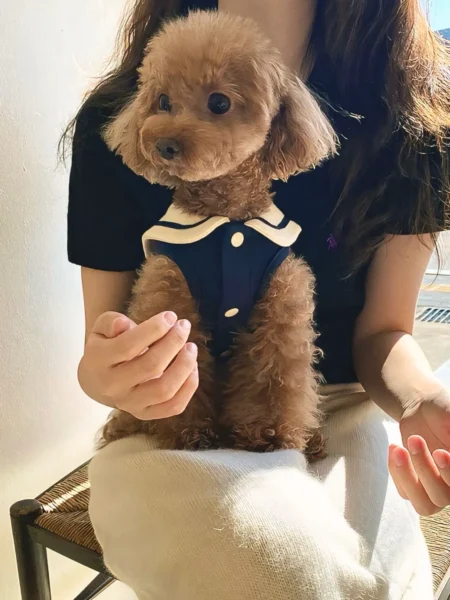 Gilet à Col de Marin pour Animaux de Compagnie | Taille : S , M