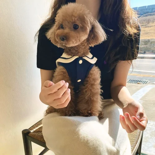 gilet à col de marin