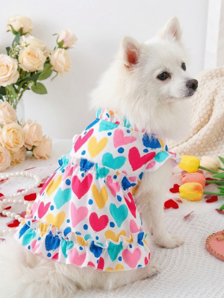 Robe pour Animaux de Compagnie | Taille M