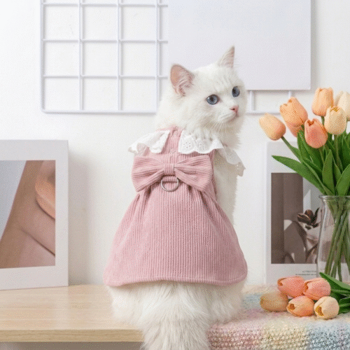 Robe de princesse en rose